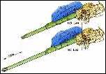 120-��  L-44 �  L-55 
