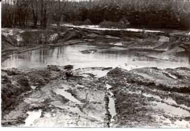 &laquo;������ �����&raquo; 115 ����