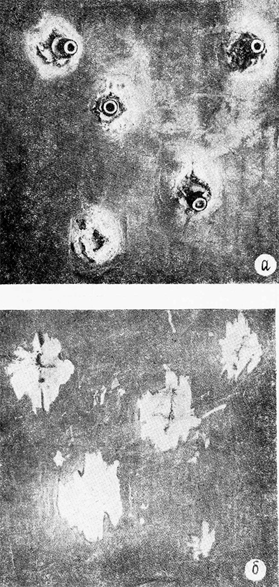 ���. 1. ����������� ���� ��������� ������������������� 
������� ��� �������� ������������ ������:
� &mdash; ������� �������; � &mdash; ������� �������.
