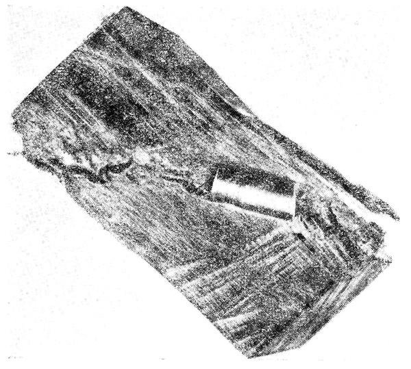 ���. 4. ���������� ���� � �������� �� ���������������� ��� 
�������� ��� ������ (������� ���������� ����������� ��&not;������)
