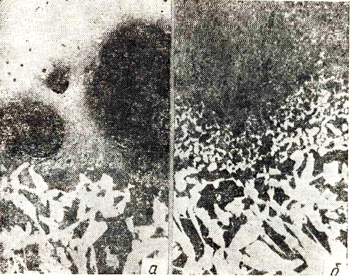 �������������� � ������ ������� ������������� ������ � ������� ��������: � &mdash; � ��������� ��������, ��� ��������; � &mdash; ����� ������������� ���������